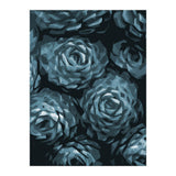 Succulent Plant Blue Ii (Print Only) thumbnail