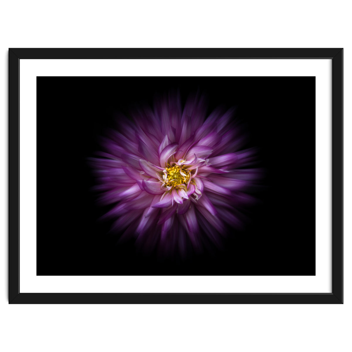 Backyard Flowers No 20 Color Flow Version