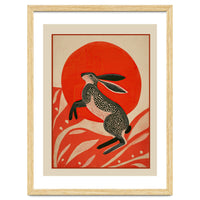 Hare And The Red Sun