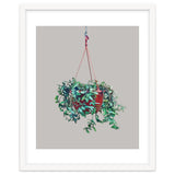 Hanging Plant thumbnail