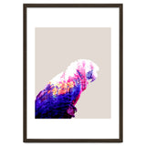 Macaw thumbnail