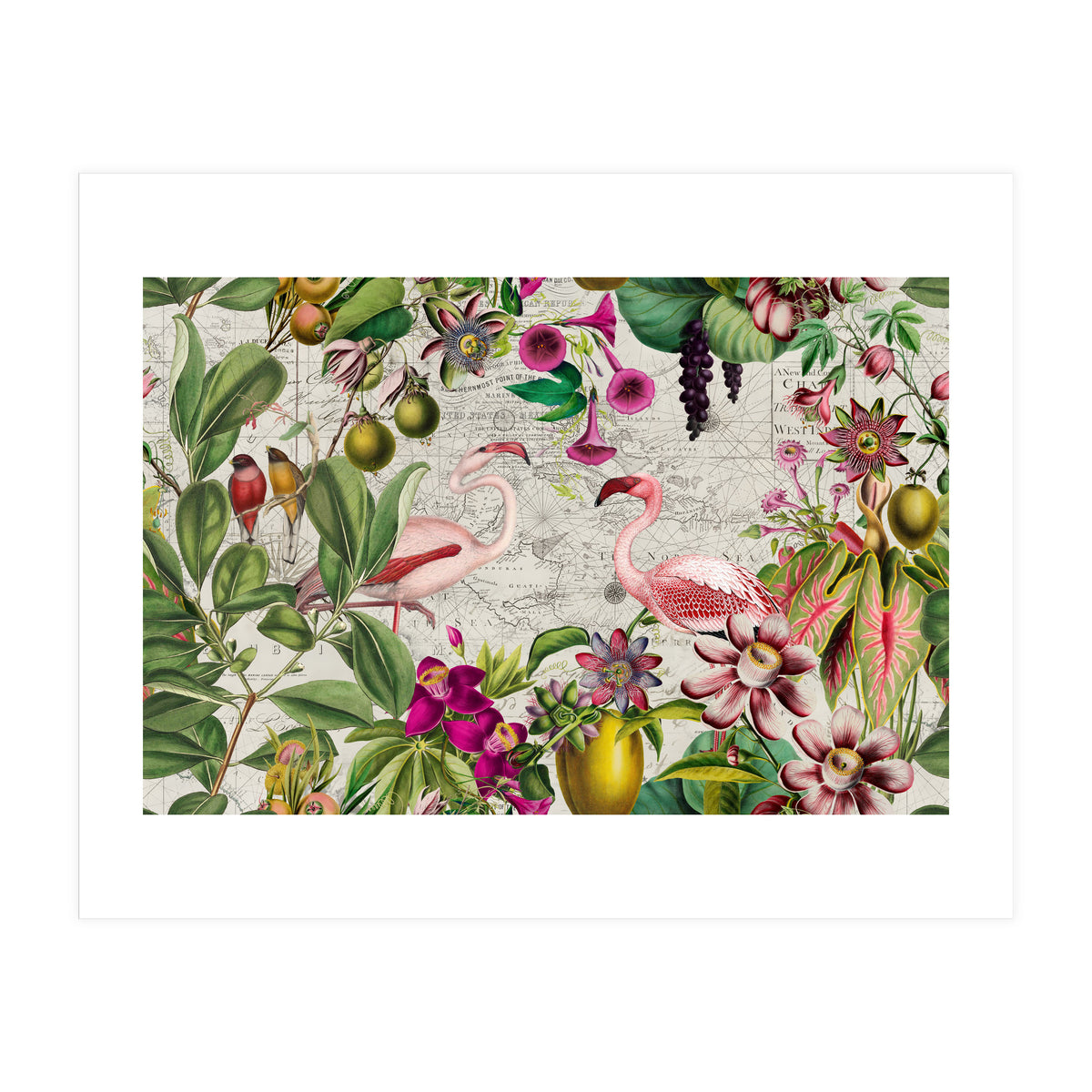 Flamingo Island 2 (Print Only)