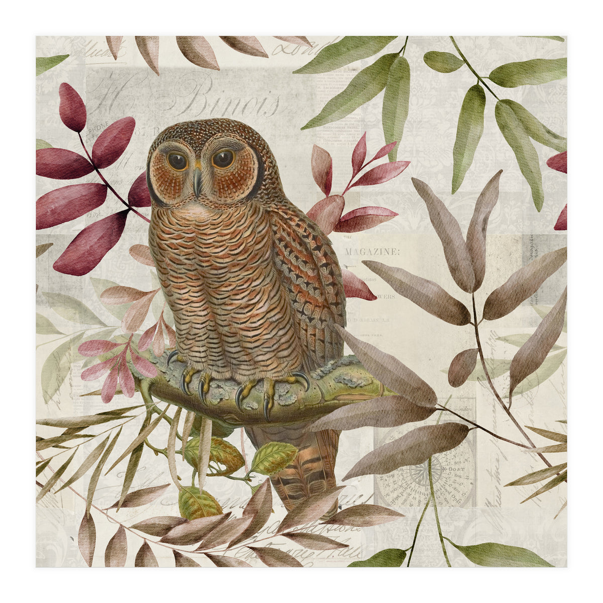 Autumn Owl (Print Only)