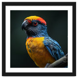 Close Up Colorful Parrot Perched On A Branch thumbnail