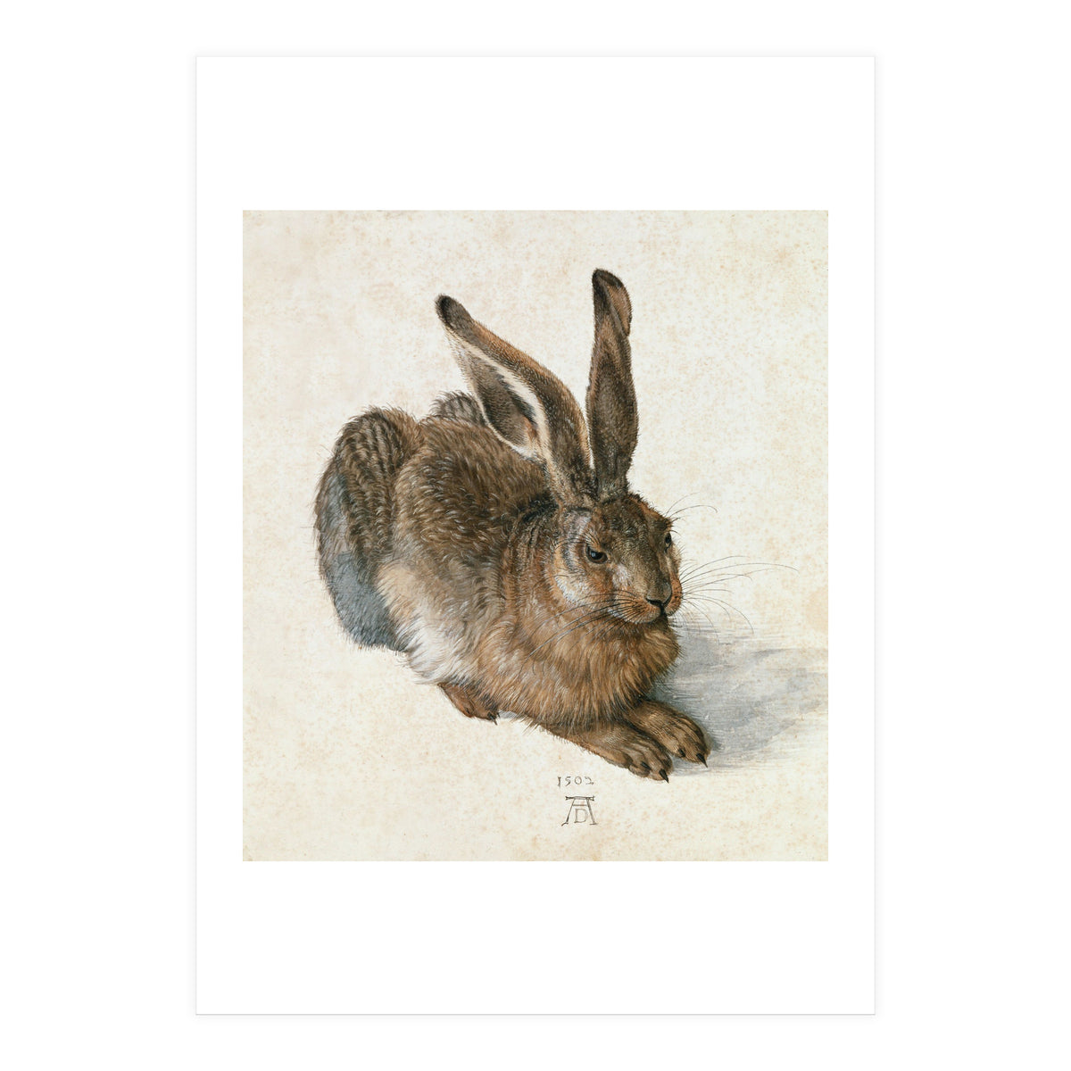 Hare-Hase. Watercolour. (Print Only)
