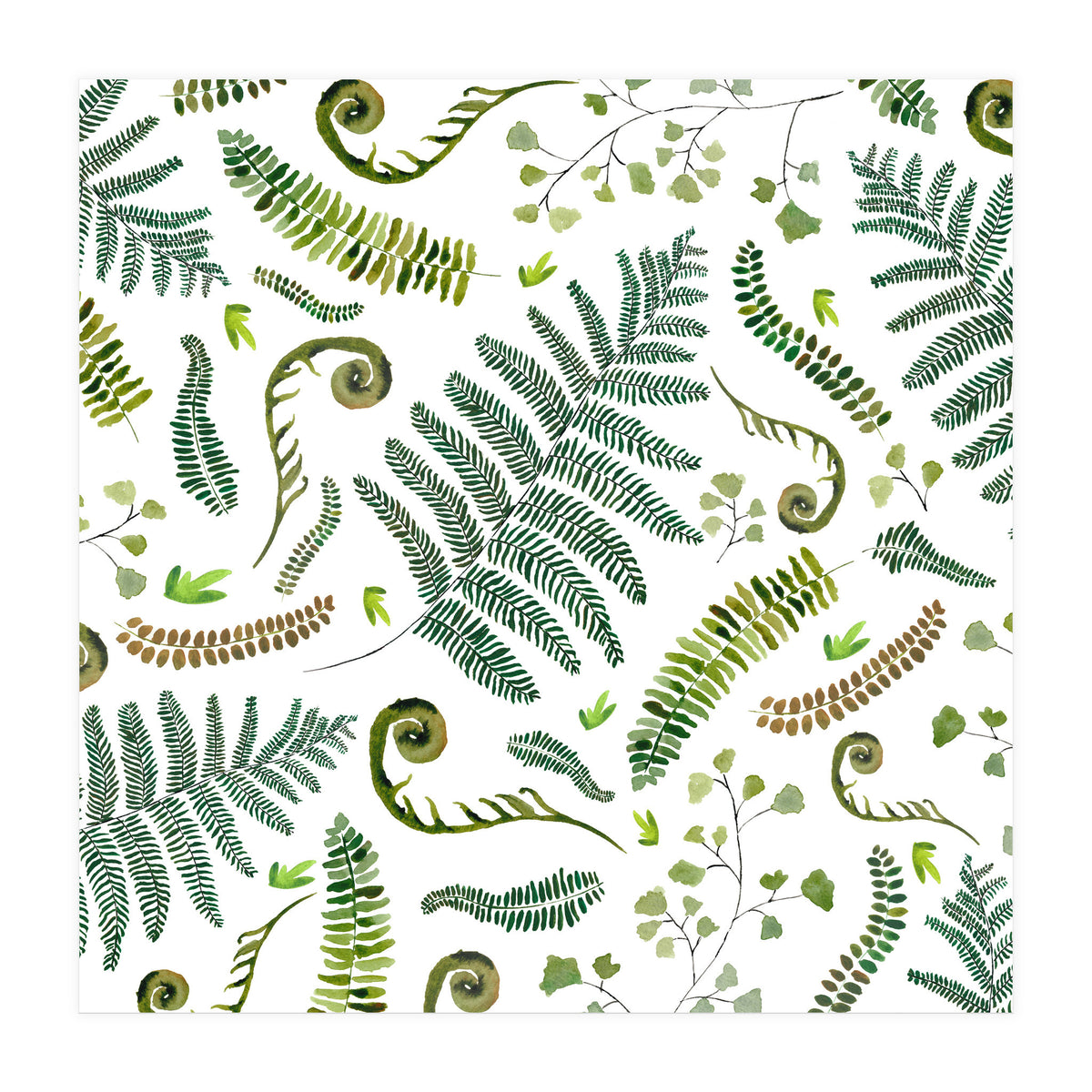 Spring Fern Pattern (Print Only)