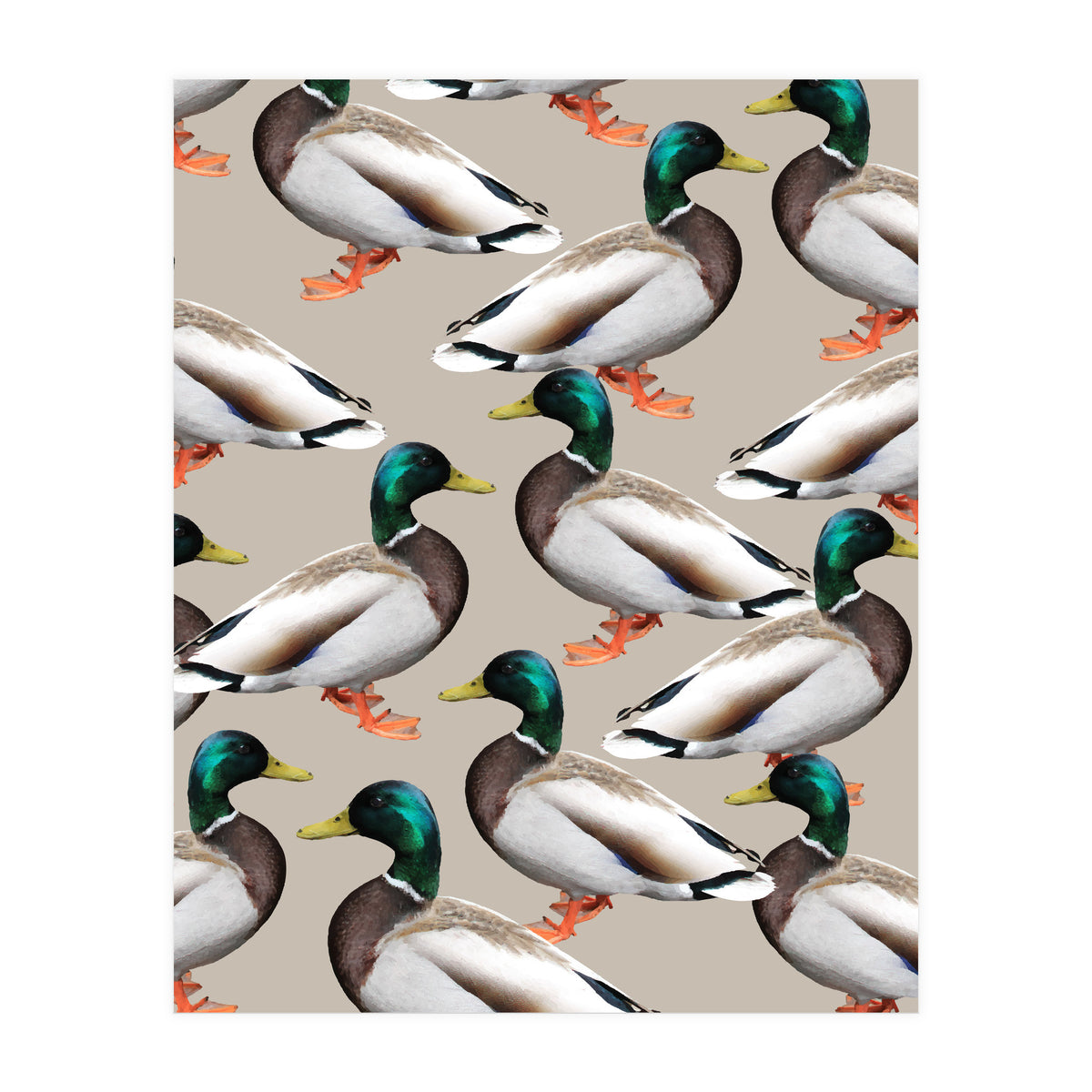 Mallards (Print Only)