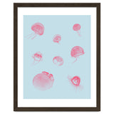 Jellyfish thumbnail