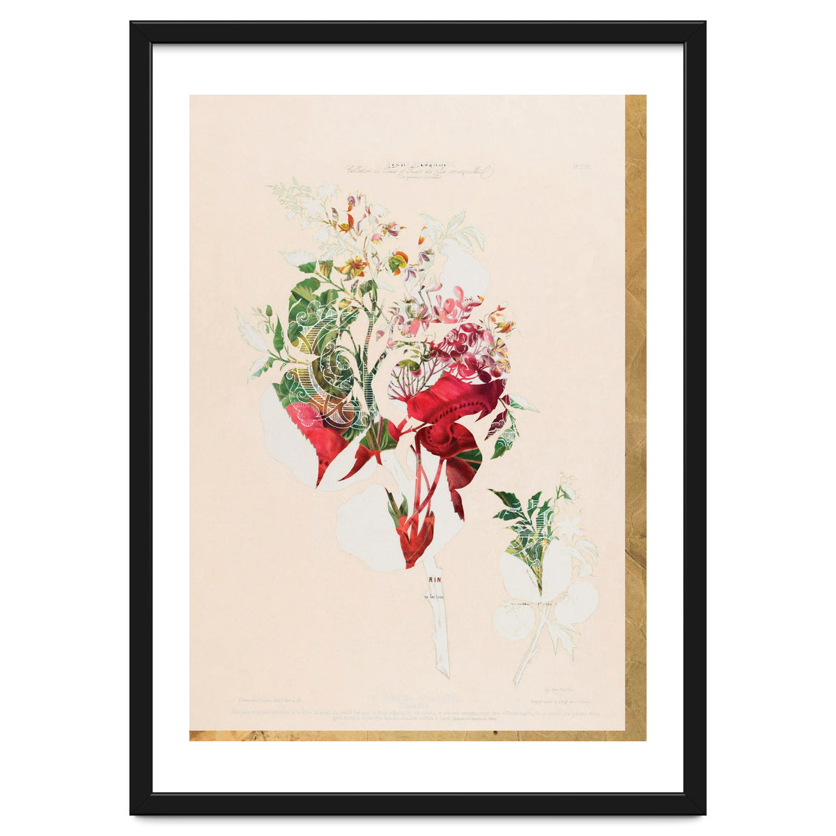 The First Plant · Aufbluehen