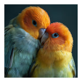 Lovebirds Couple Nuzzling With Orange And Yellow Feathers (Print Only) thumbnail