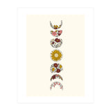 Floral Phases Of The Moon (Print Only) thumbnail