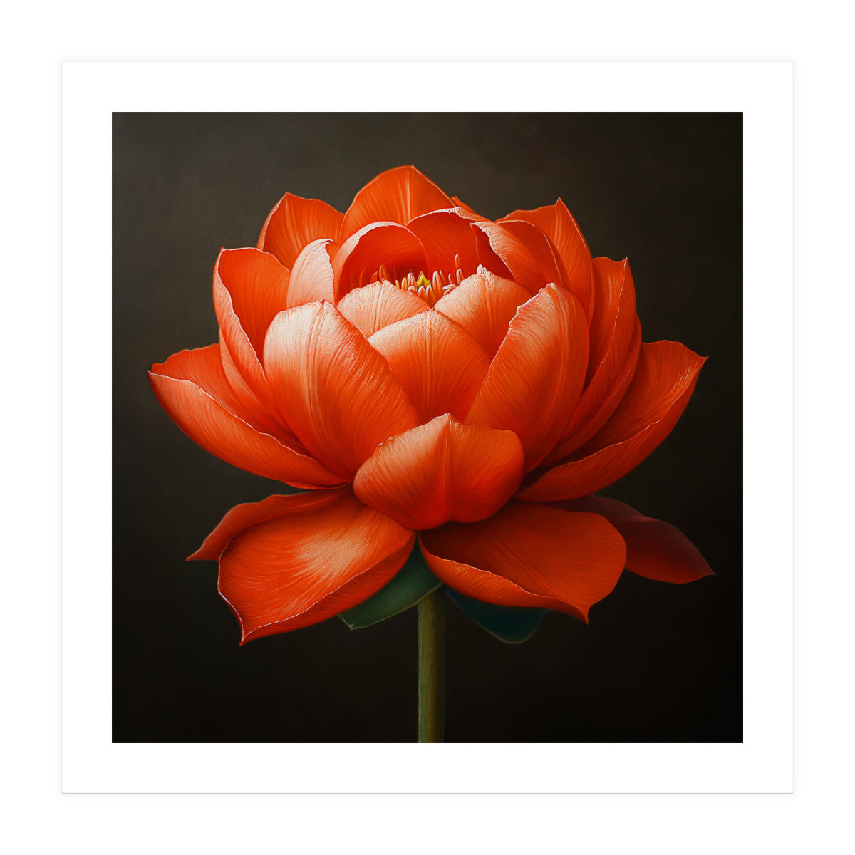 Double Lotus | Scarlet Solace (Print Only)
