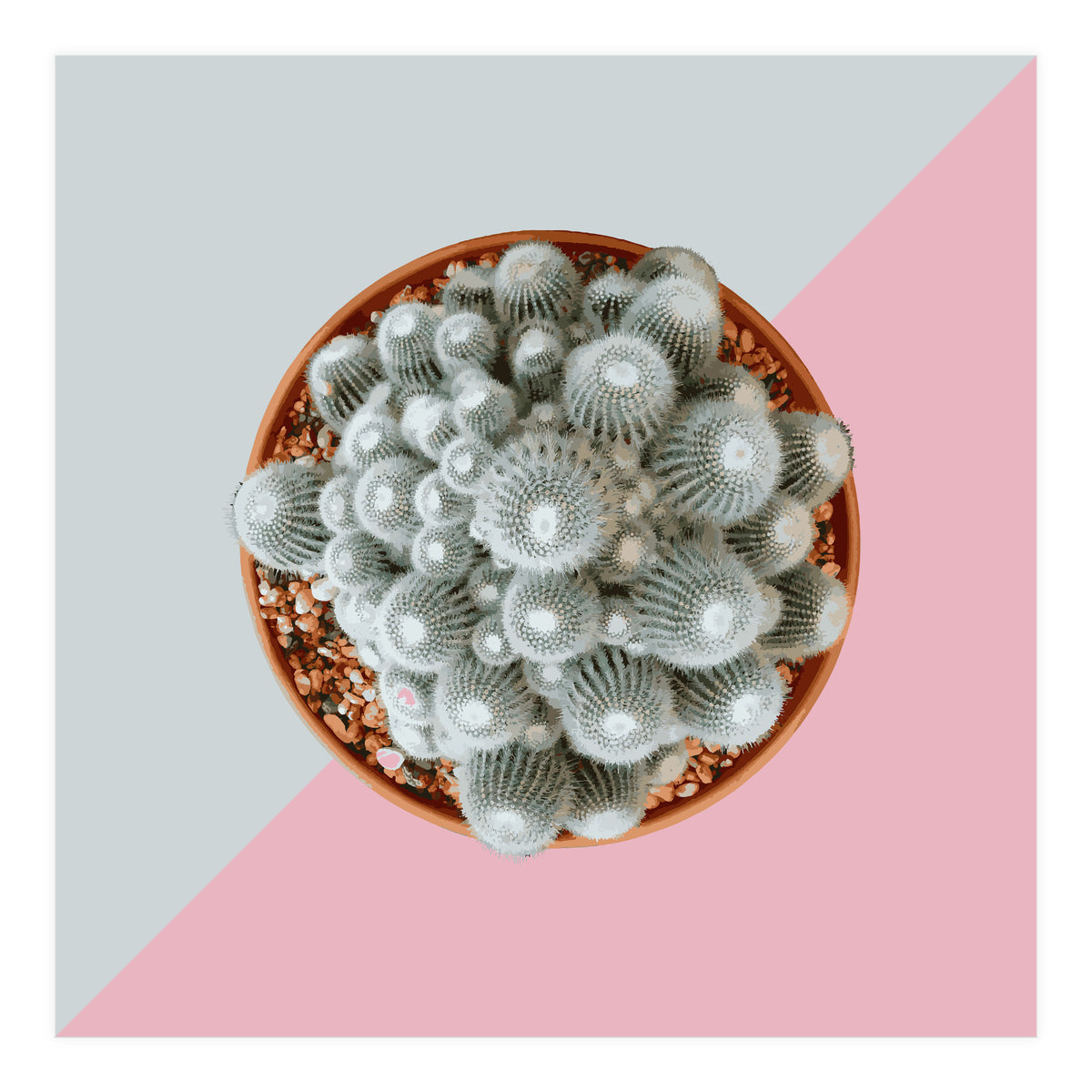 Clementine (Print Only)