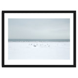 Seagulls in the Snow beach thumbnail