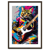 Cat Plays The Guitar, Graffiti