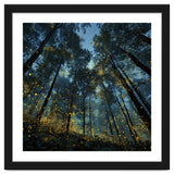 Celestial Forest Canopy with Swirling Golden Fireflies and Deep Twilight Blue Sky Digital Art thumbnail