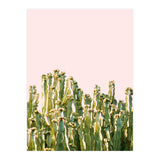 Cactus Blush #society6 #decor #buyart (Print Only) thumbnail