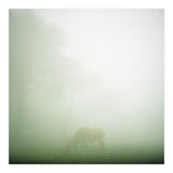 Silence of breath - 09 (Print Only) thumbnail