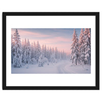 Winter’s Gentle Embrace