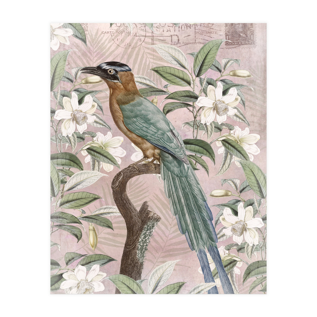 Exotic Bird (Print Only)