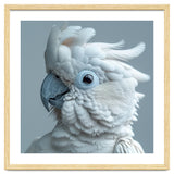 White Cockatoo Bird Portrait Close Up thumbnail