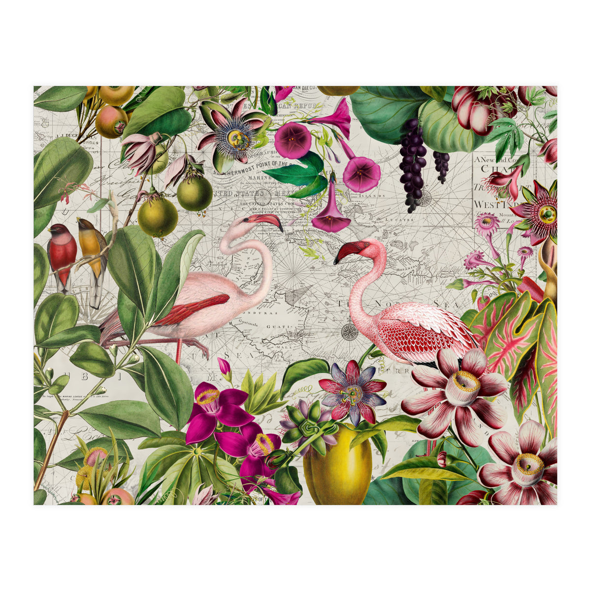 Flamingo Island 2 (Print Only)