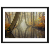 Bent trees in autumn thumbnail