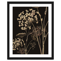 Wildflowers I