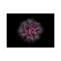 Backyard Flowers No 116 Color Flow Version (Print Only)