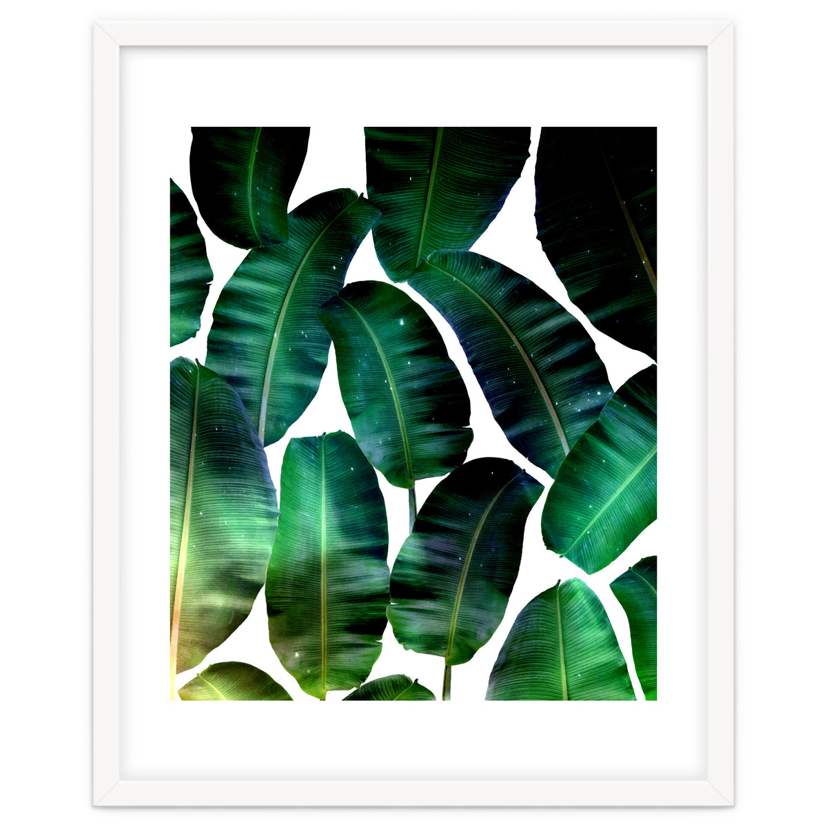 Cosmic Banana Leaves