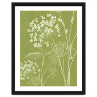 Wildflowers III