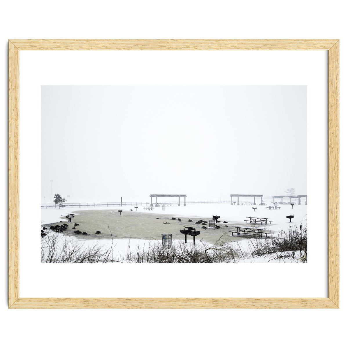 Blackbirds surrounding a frozen pond in winter