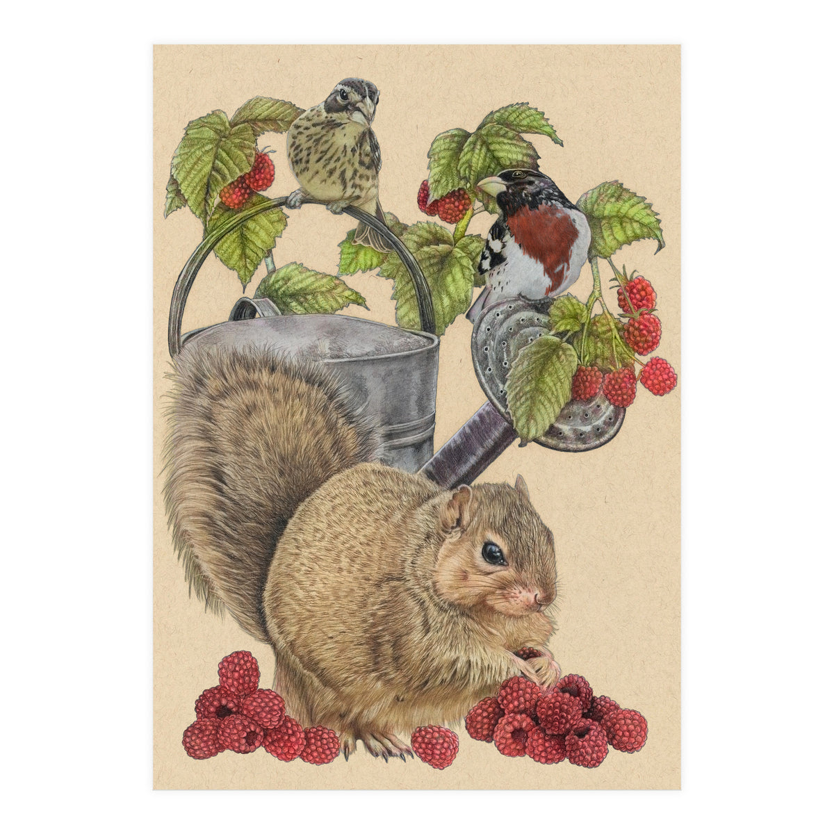 Squirrel Bgmatch (Print Only)