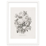 Currier & Ives – Rose of May (1870) thumbnail