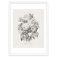 Currier & Ives – Rose of May (1870)