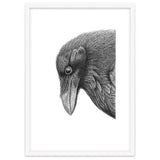 Huginn thumbnail