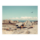 Rocky Formations (Print Only) thumbnail
