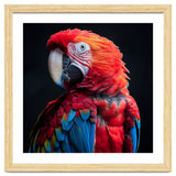 Scarlet Macaw Parrot Detailed Feather Close Up Portrait thumbnail