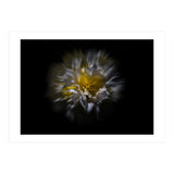 Backyard Flowers No 25 Color Flow Version (Print Only) thumbnail