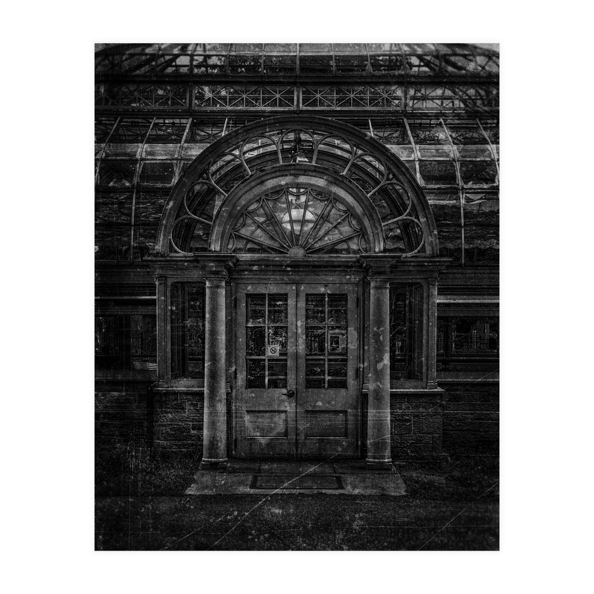 Allan Gardens Conservatory Palm House No 5 Old Film Version (Print Only)