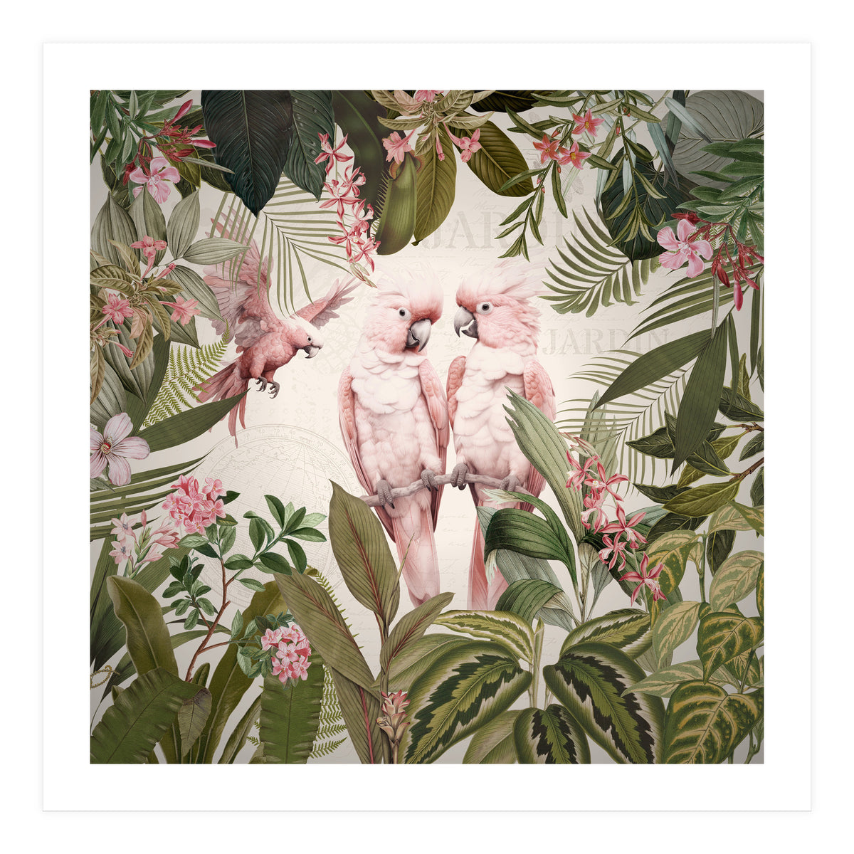 Pink Parrots Exotic Rainforest (Print Only)