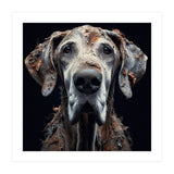 Old Dog 04 (Print Only) thumbnail