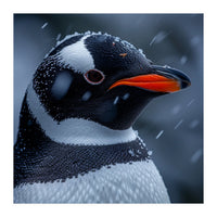 Close Up Penguin Portrait In Snowy Weather (Print Only)