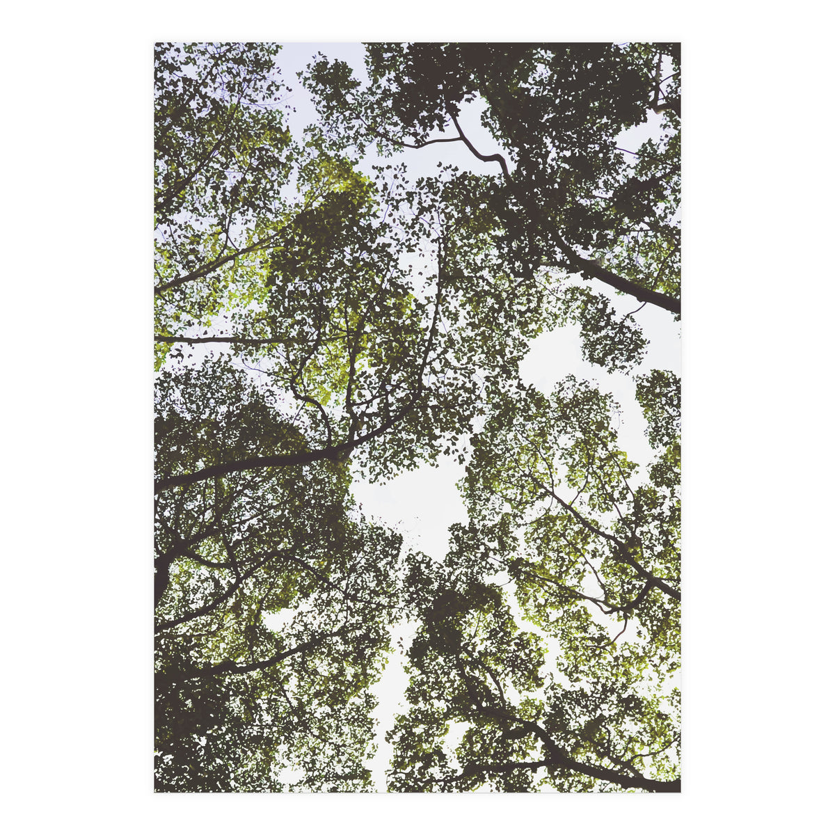 Mother Nature (Print Only)