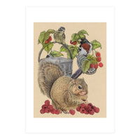 Squirrel Bgmatch (Print Only)