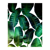 Cosmic Banana Leaves (Print Only) thumbnail