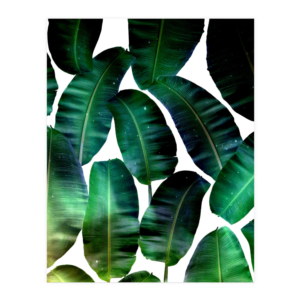 Cosmic Banana Leaves (Print Only)