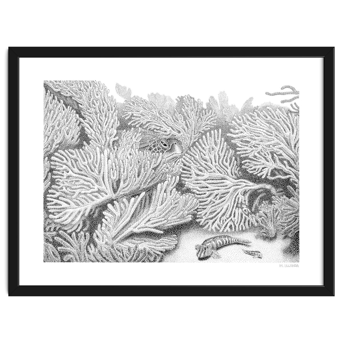 Hidden in plain sight