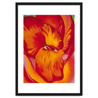 Georgia O’Keeffe – Canna Red and Orange (1926) | Vibrant Modernist Floral Painting in Bold Organic Forms