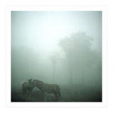 Silence of breath - 15 (Print Only) thumbnail